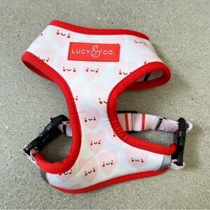 LUCY & CO. Reversible Adjustable Dog Harness – XS – Smiley Hearts Stripes
